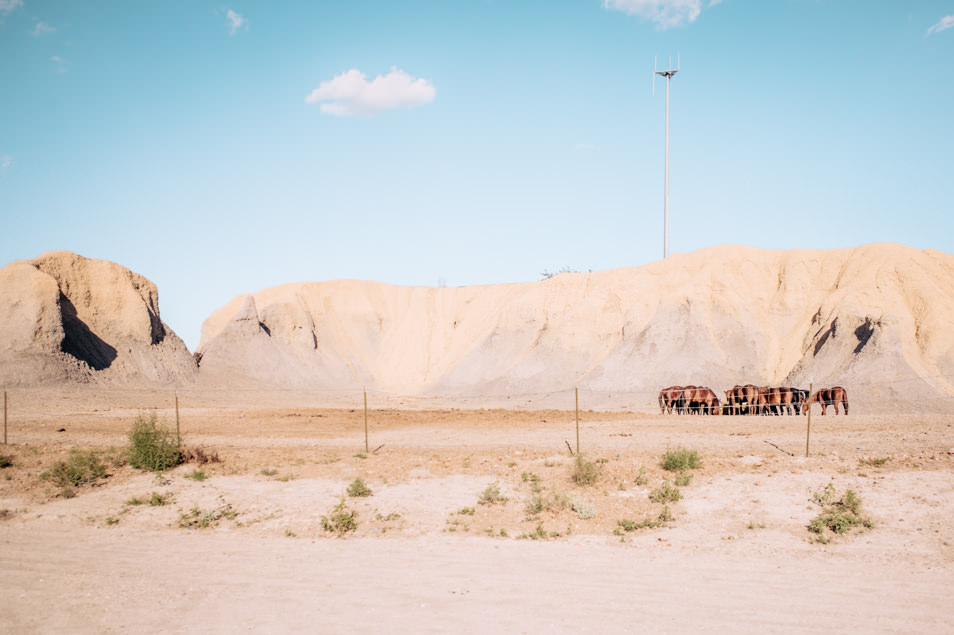 Road trip USA Texas Big Bend Terlingua