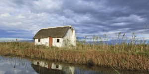 Barraca del Delta de l'Ebre