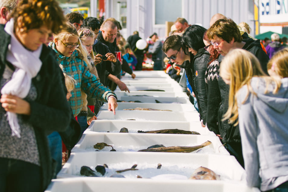 Great Fish Day, festival de poisson à Dalvík