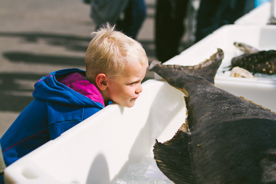 Great Fish Day, festival de poisson à Dalvík