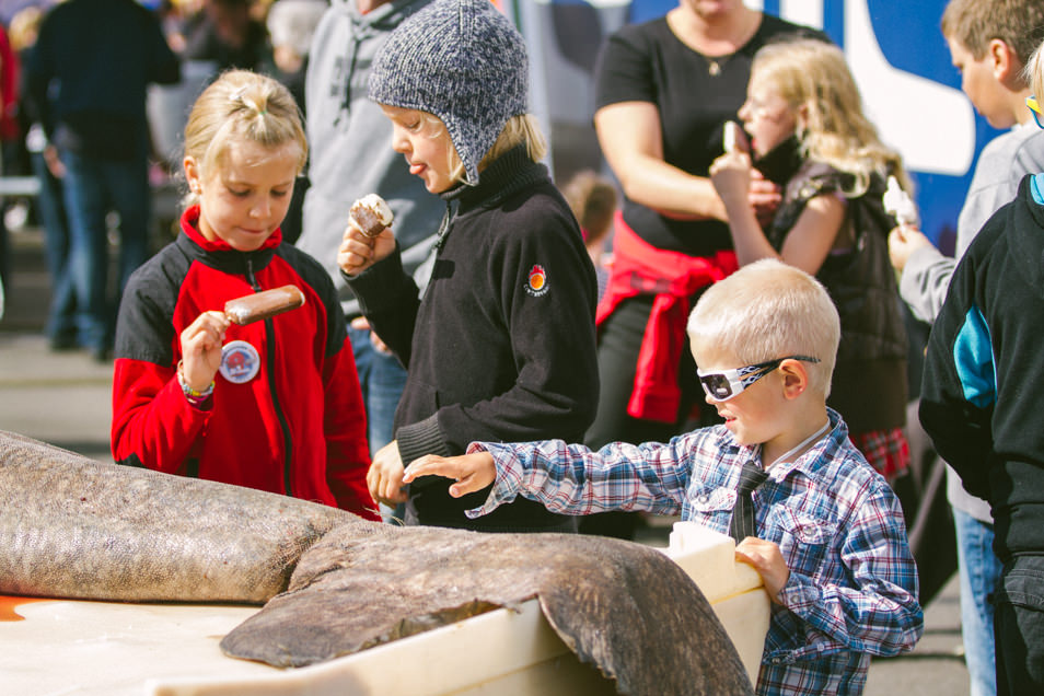 Great Fish Day, festival de poisson à Dalvík