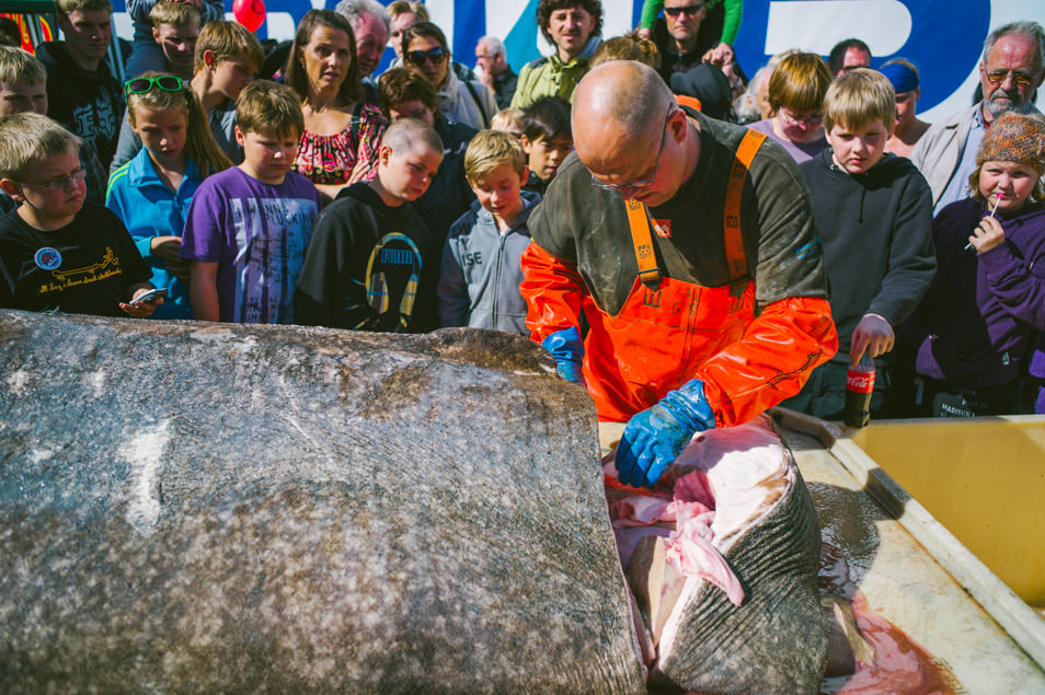 Great Fish Day, festival de poisson à Dalvík