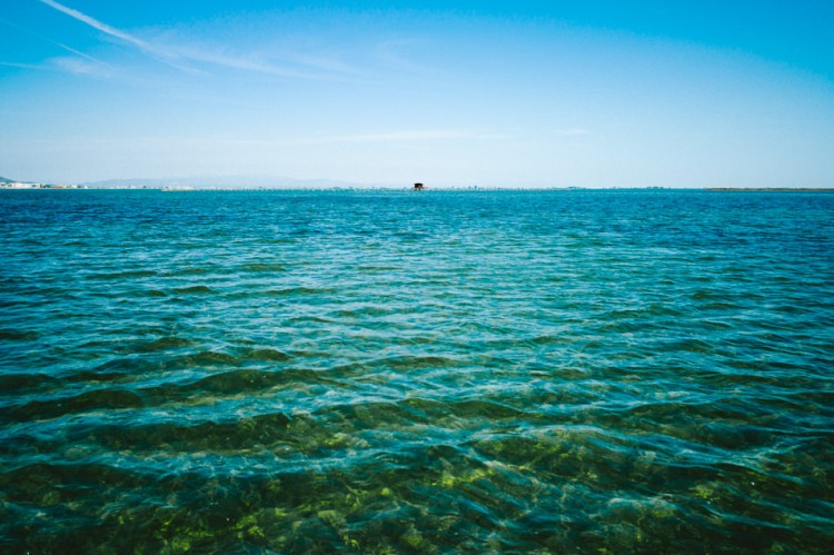 Delta de L'Ebre, Catalogne