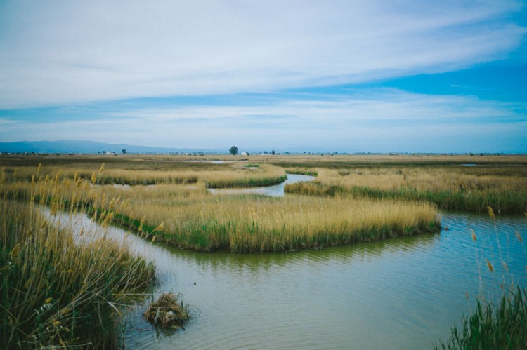 Delta de l'Ebre, Catalogne