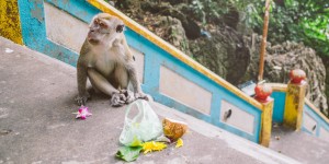 Batu Caves, Malaisie