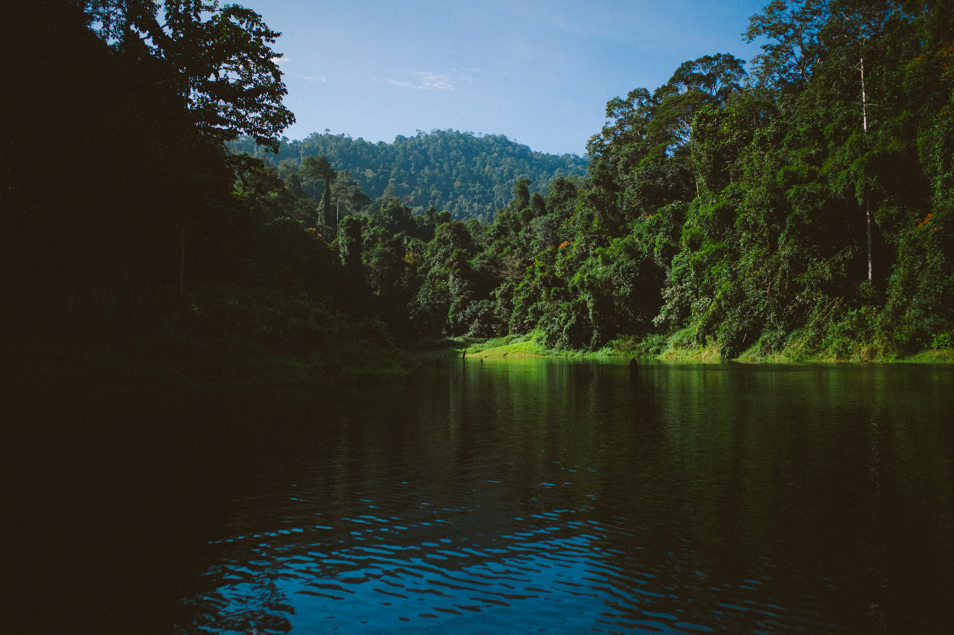 Jungle de Belum, Malaisie