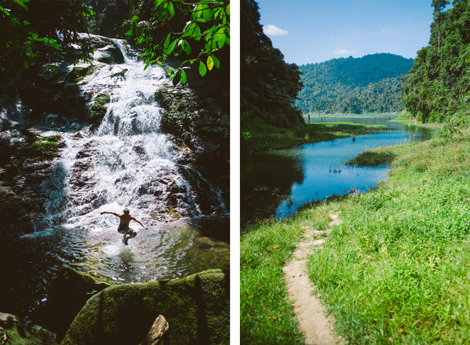 Jungle de Belum, Malaisie