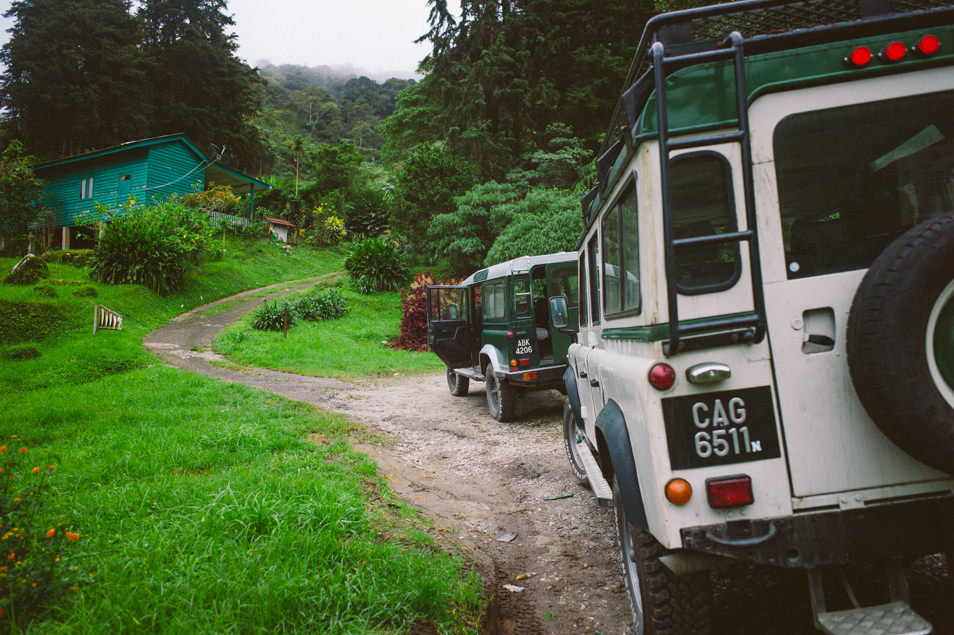 Cameron Highlands, Malaisie