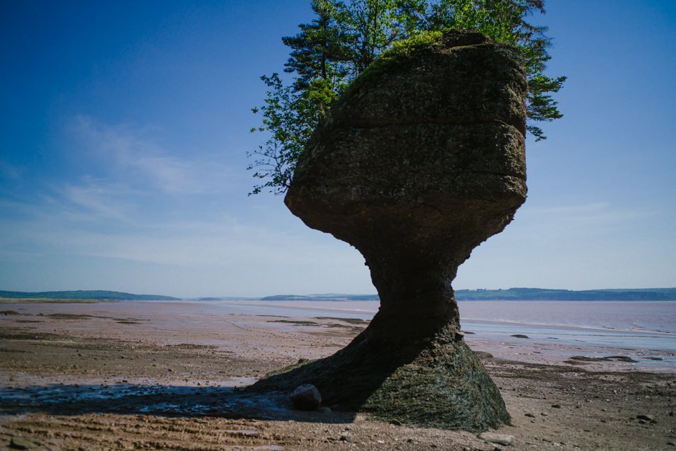 Baie de Fundy, road trip en Acadie, Nouveau Brunswick