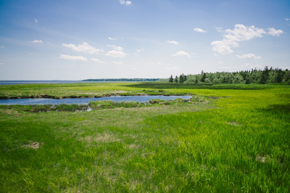 Parc national de Kouchibouguac, road trip en Acadie, Nouveau Brunswick