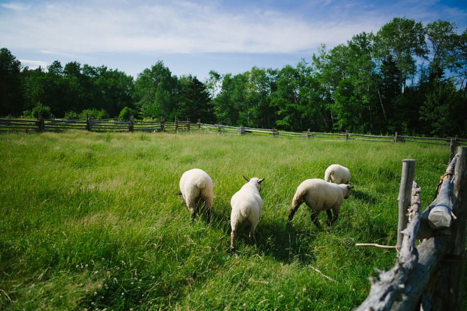 Road trip en Acadie, Nouveau Brunswick