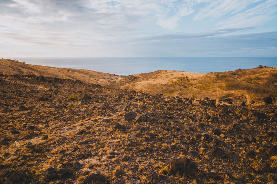 La savane, La Réunion