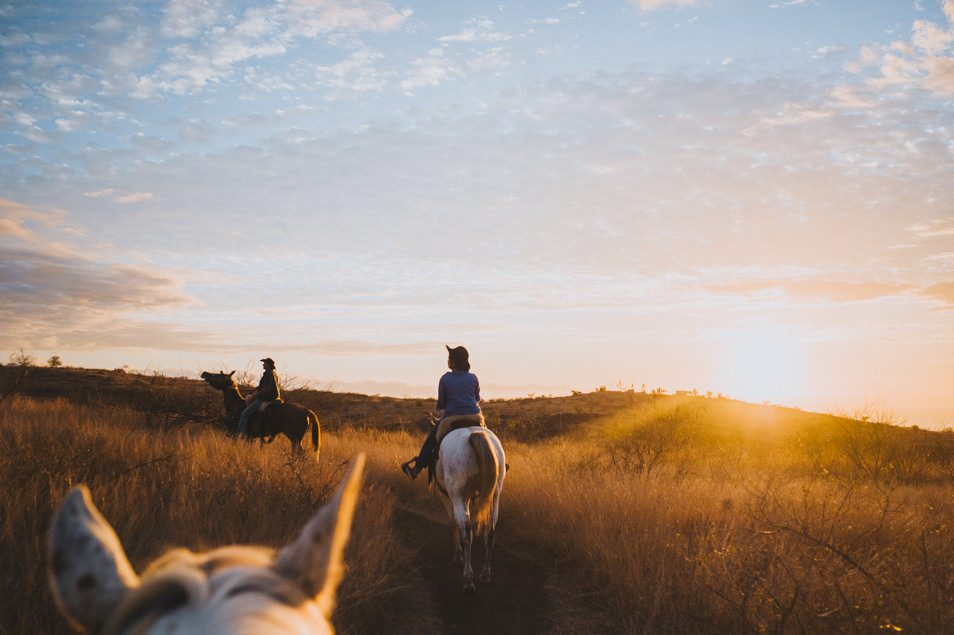 rando cheval a la reunion