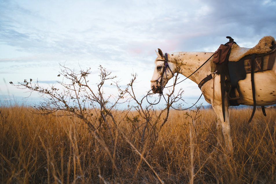 Balade à cheval à La Réunion