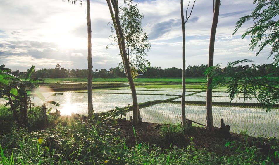 Isan, Thailande - Nong Khai