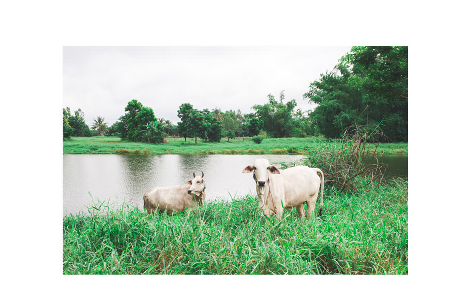 Isan, Thailande - Nong Khai