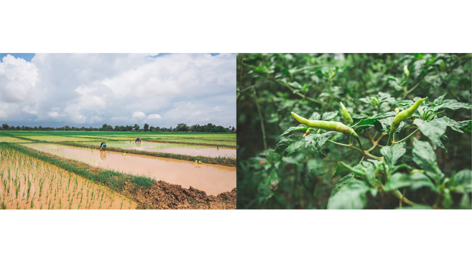 Isan, Thailande - Nong Khai