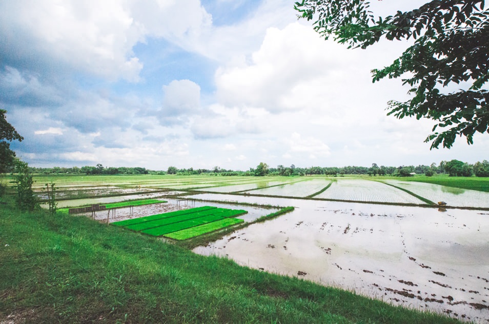 Isan, Thailande - Nong Khai