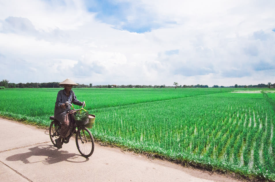 Sur les routes de Thailande, l'Isan