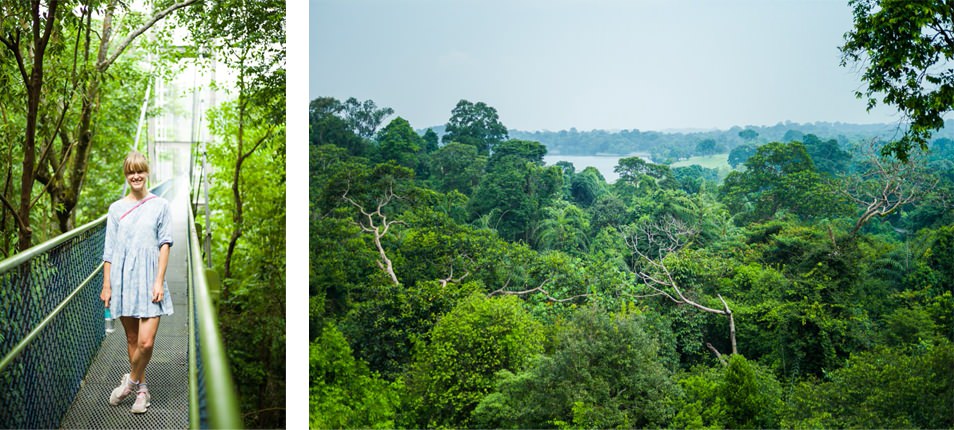 Visiter Singapour - MacRitchie Reservoir