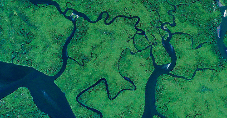 Google Earth - Mangrove, Panama