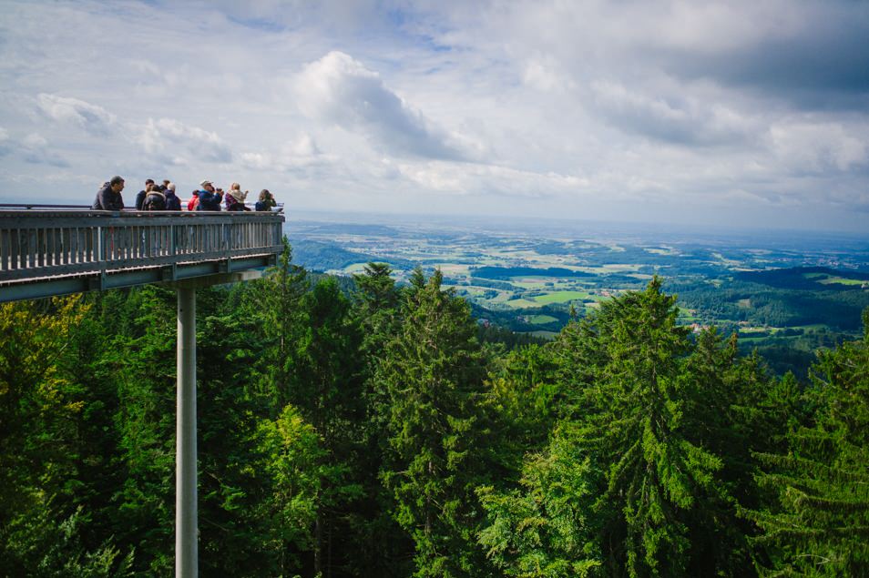 Waldwipfelweg