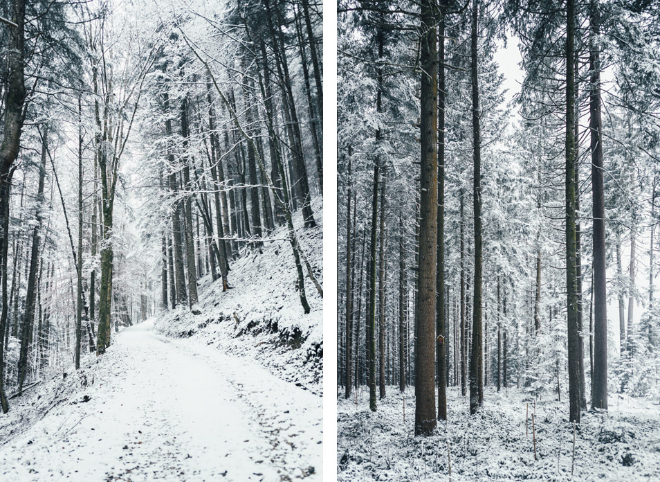 Forêt du Tyrol, Autriche