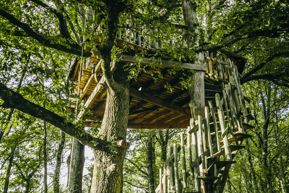 Notre cabane dans les arbres !