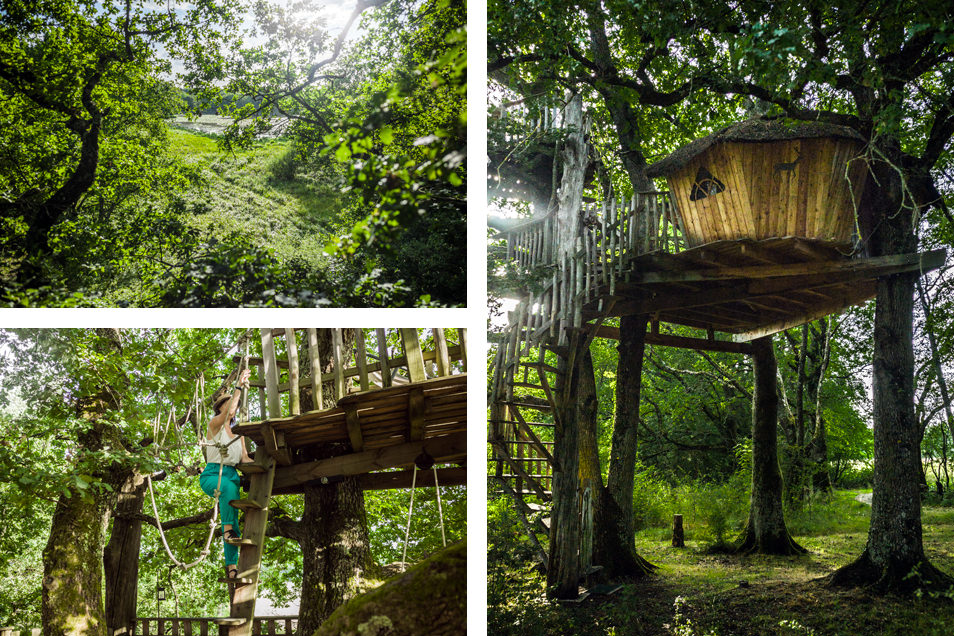 Notre cabane dans les arbres