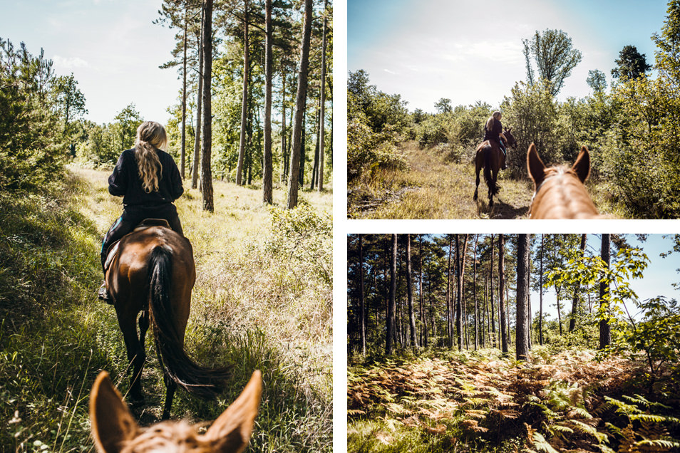 Rando à cheval dans la vallée de la Creuse