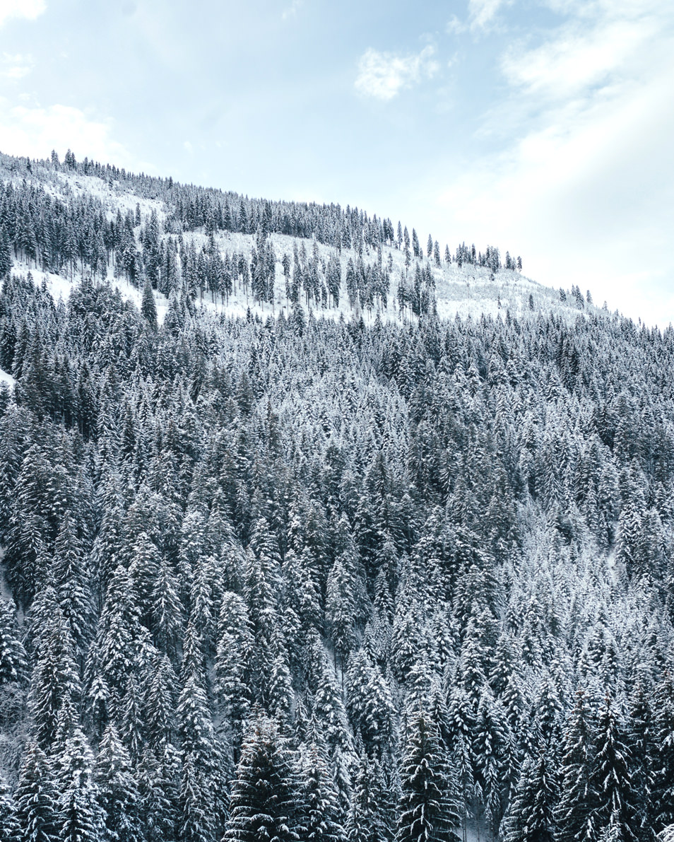 Tyrol - Une rando en raquettes