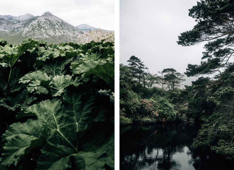 Road trip sur la Wild Atlantic Way, Irlande - Connemara