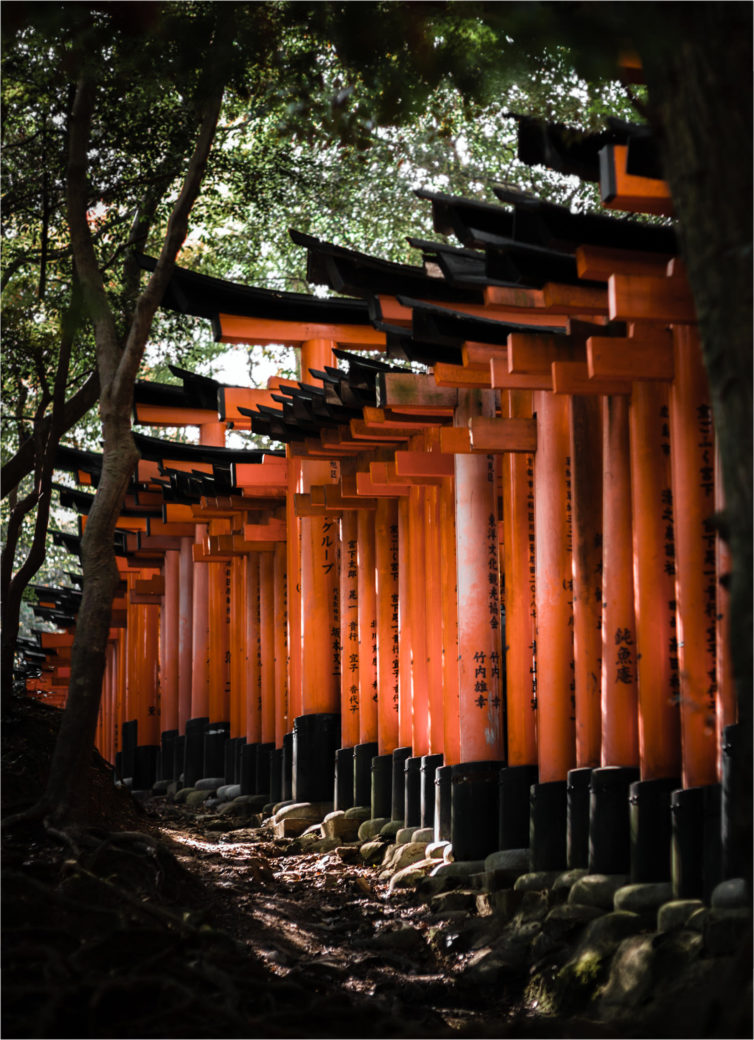 Visiter Kyoto Guide Complet 4 ou 6 jours