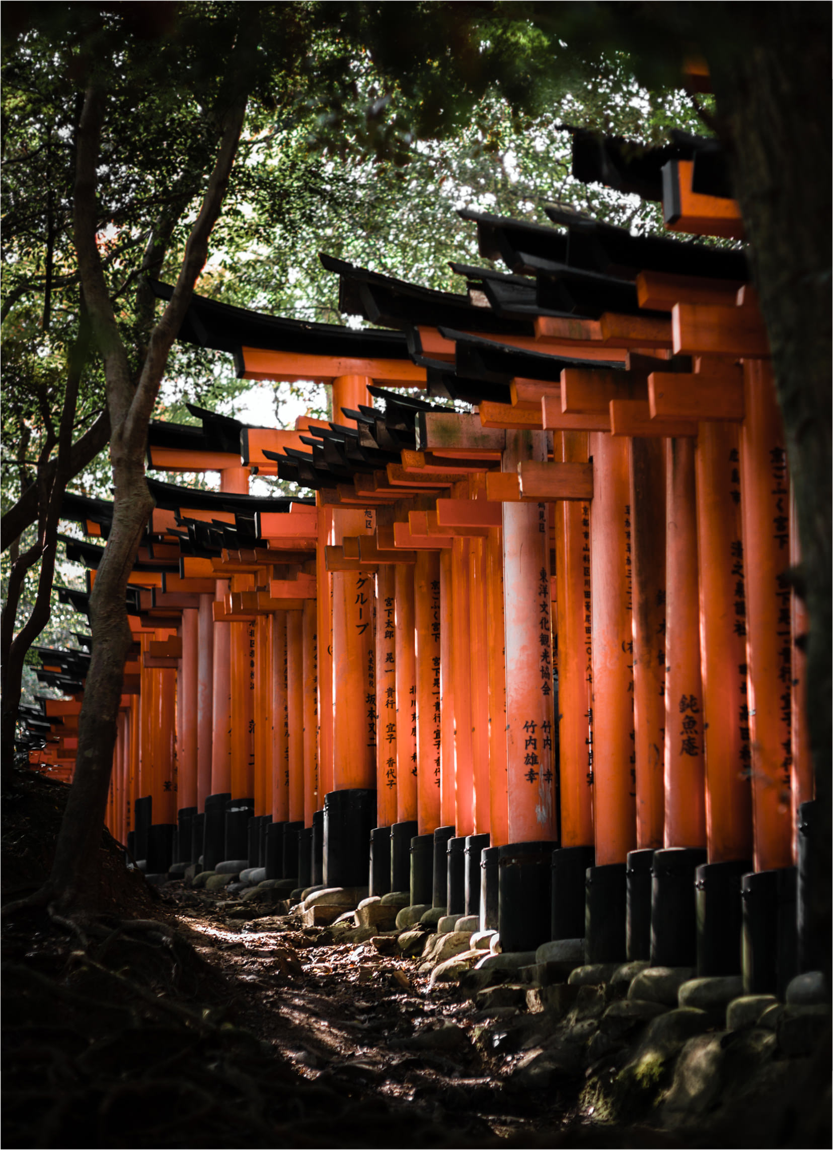 Visiter Kyoto guide complet pour 4 à 6 jours ! — Blog Voyage Japon de traverse
