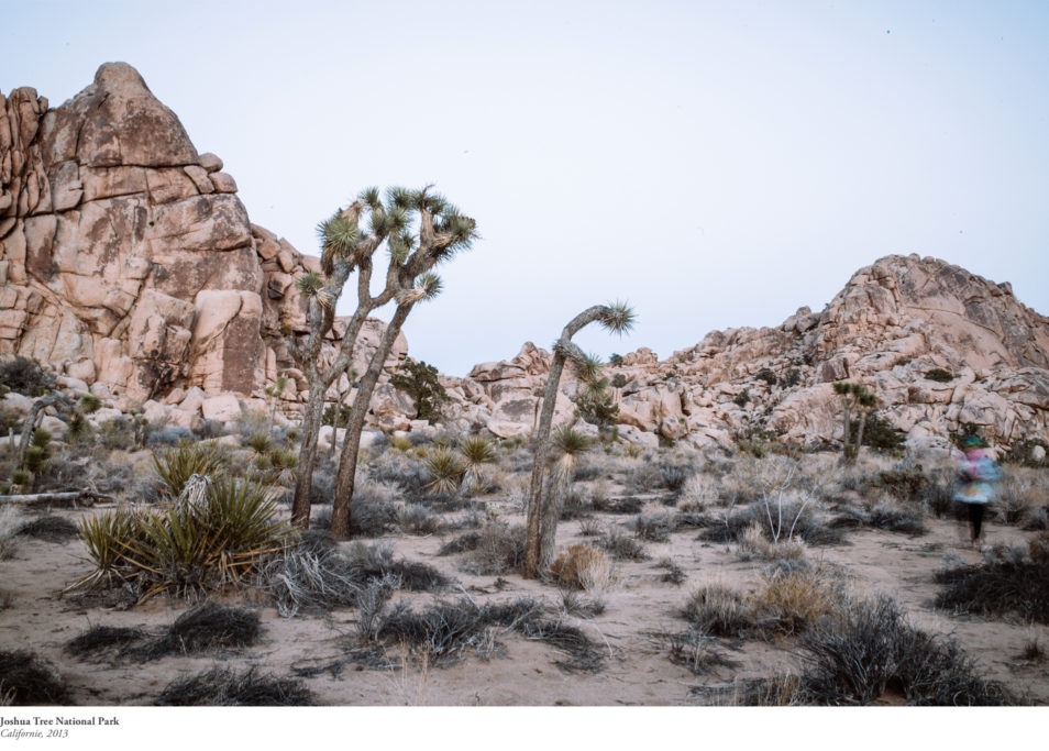 Blog Voyage Itinéraires Road Trip Etats-Unis USA Californie Palm Springs Joshua Tree National Park