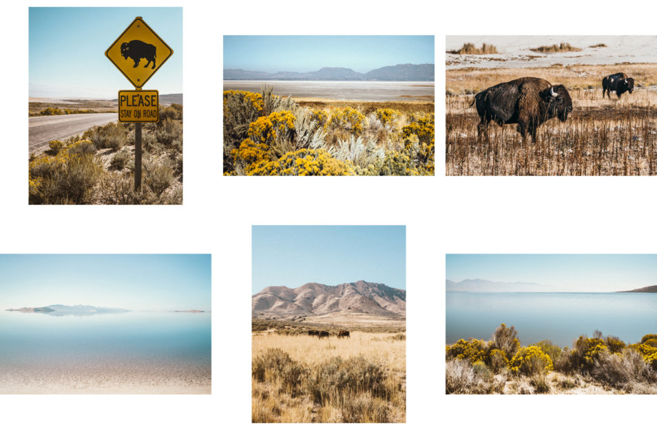 Blog Voyage Itinéraires Road Trip Etats-Unis USA Utah Antelope Island State Park Salt Lake City