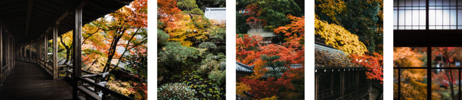 Visiter Kyoto Guide Complet 4 ou 6 jours